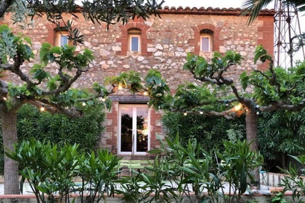 La Maison Des Vendangeurs 卡内 外观 照片
