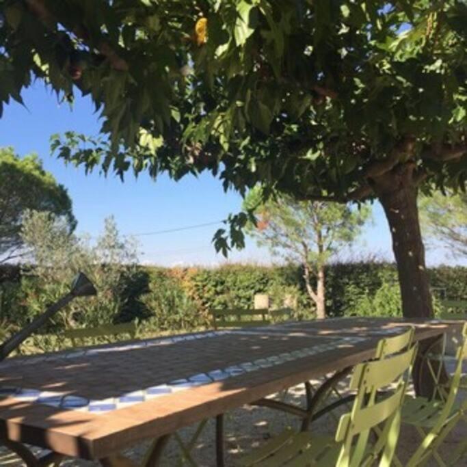 La Maison Des Vendangeurs 卡内 外观 照片