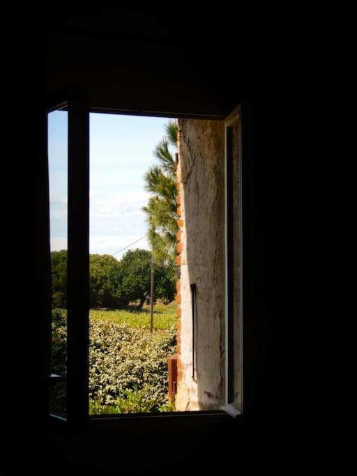 La Maison Des Vendangeurs 卡内 外观 照片
